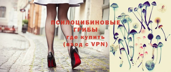 стаф Надым