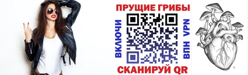 Галлюциногенные грибы GOLDEN TEACHER  мориарти Telegram  Лысково 